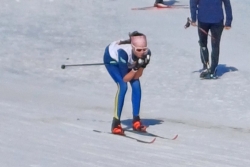 Championnats de France des clubs - ski de fond