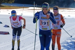 Championnats de France des clubs - ski de fond
