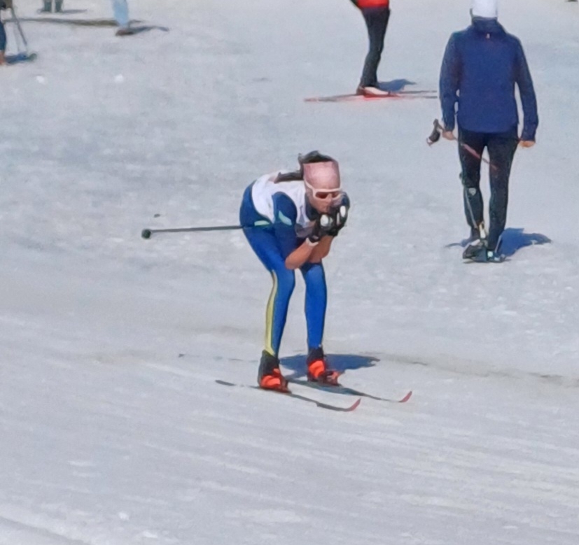 Championnats de France des clubs - ski de fond